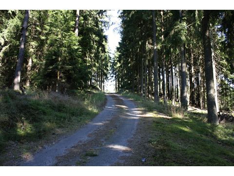 Foto 44